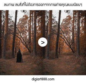รับลบคนออกจากภาพ
